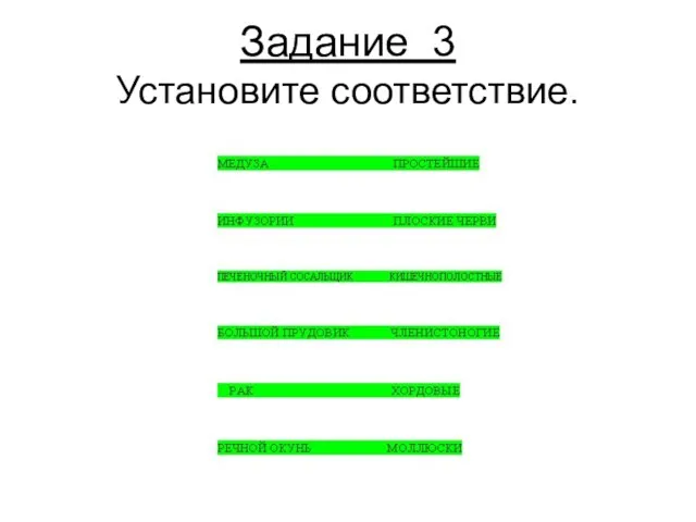 Задание 3 Установите соответствие.