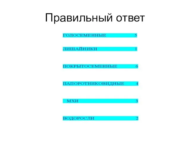 Правильный ответ