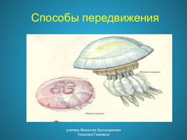 Способы передвижения учитель биологии Хуснутдинова Гульнара Гаязовна