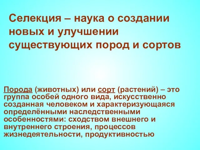 Селекция – наука о создании новых и улучшении существующих пород и