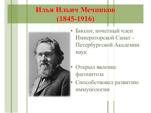 Илья Ильич Мечников (1845-1916) Биолог, почетный член Императорской Санкт -Петербургской Академии