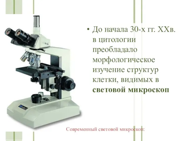 До начала 30-х гг. ХХв. в цитологии преобладало морфологическое изучение структур