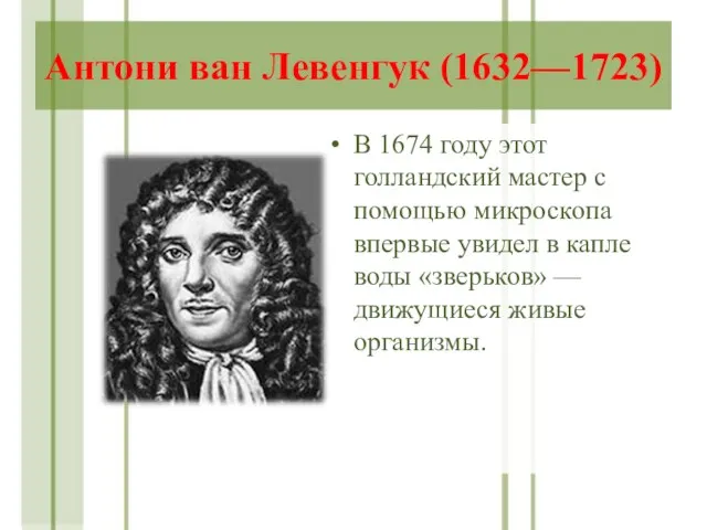 Антони ван Левенгук (1632—1723) В 1674 году этот голландский мастер с