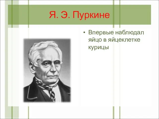 Я. Э. Пуркине Впервые наблюдал яйцо в яйцеклетке курицы