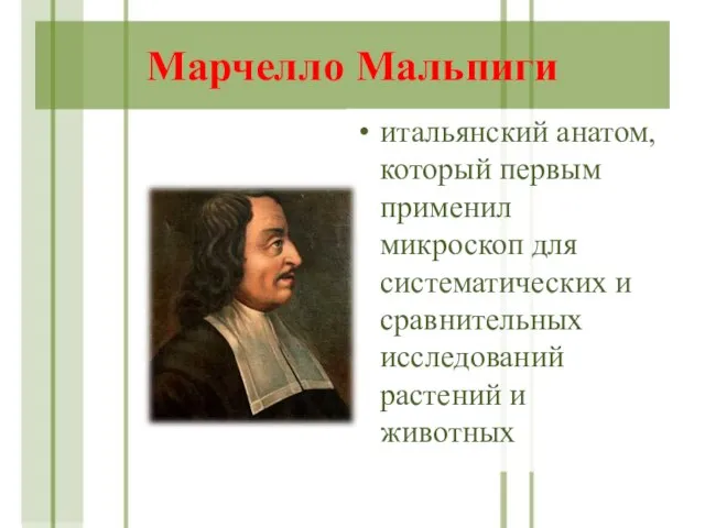 Марчелло Мальпиги итальянский анатом, который первым применил микроскоп для систематических и сравнительных исследований растений и животных