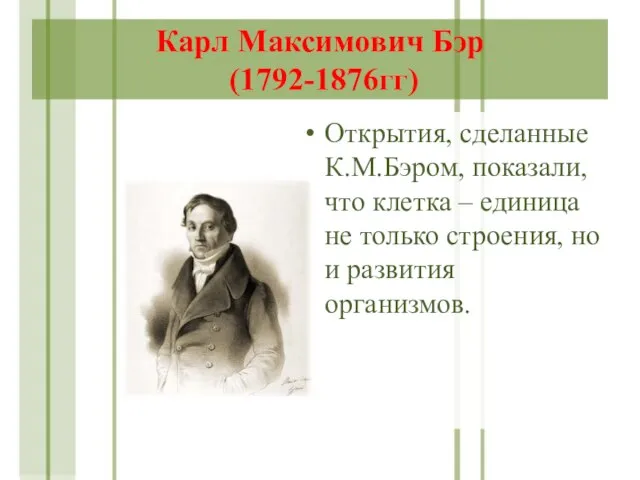 Карл Максимович Бэр (1792-1876гг) Открытия, сделанные К.М.Бэром, показали, что клетка –