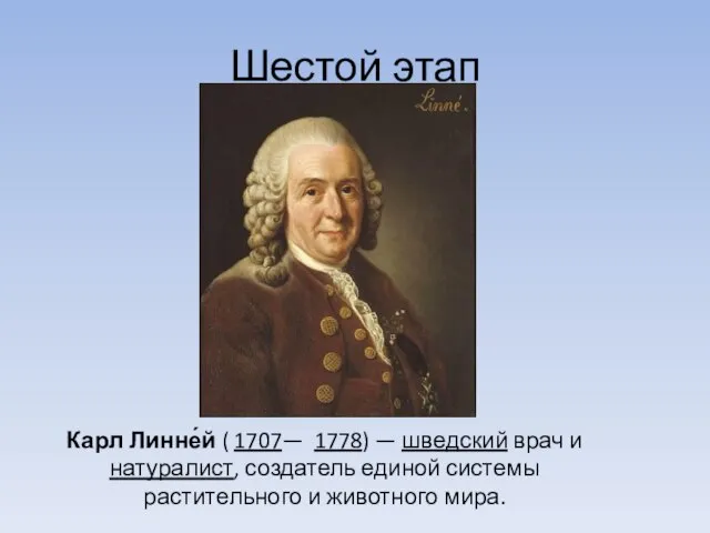 Шестой этап Карл Линне́й ( 1707— 1778) — шведский врач и