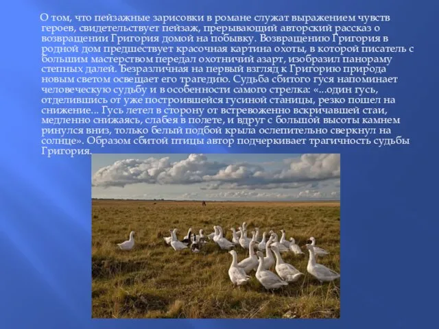 О том, что пейзажные зарисовки в романе служат выражением чувств героев,