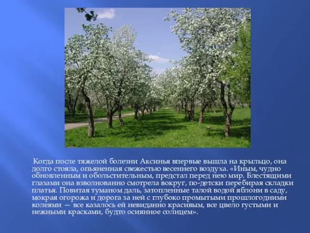 Когда после тяжелой болезни Аксинья впервые вышла на крыльцо, она долго