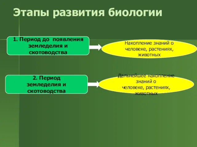 Этапы развития биологии 1. Период до появления земледелия и скотоводства Накопление