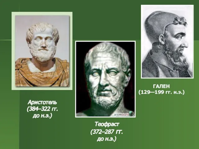 Аристотель (384–322 гг. до н.э.) ГАЛЕН (129—199 гг. н.э.) Теофраст (372–287 гг. до н.э.)