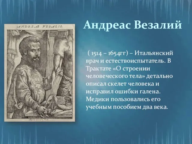 Андреас Везалий ( 1514 – 1654гг) – Итальянский врач и естествоиспытатель.