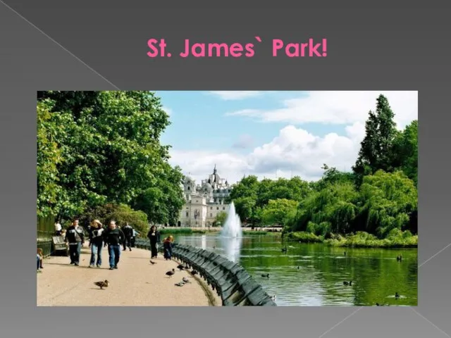 St. James` Park!