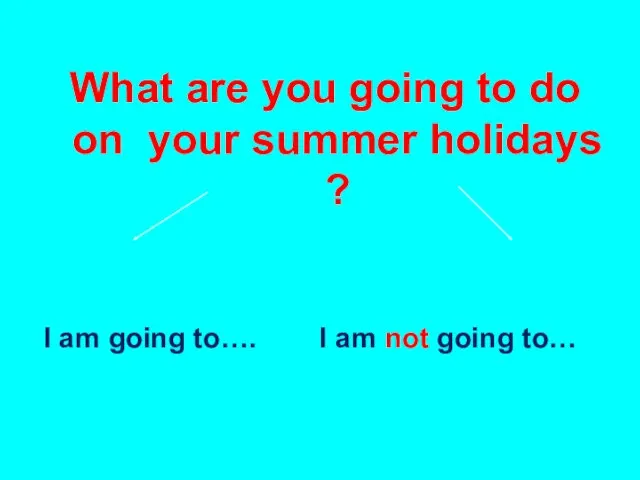 What are you going to do on your summer holidays ?