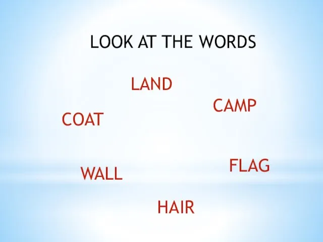 LOOK AT THE WORDS COAT WALL FLAG CAMP LAND HAIR