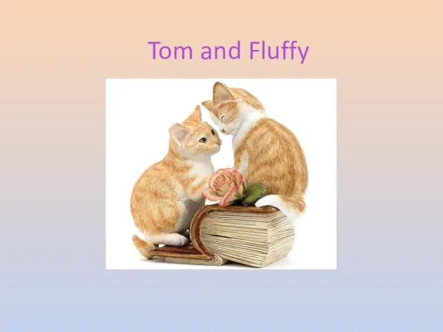 Tom and Fluffy