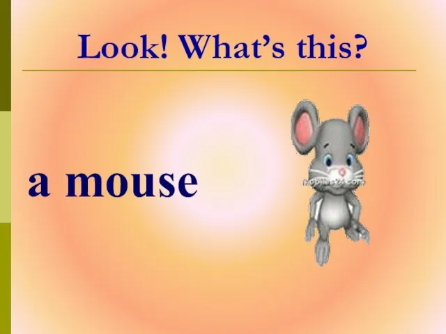 Look! What’s this? a mouse