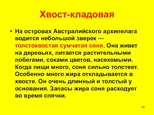 Хвост-кладовая На островах Австралийского архипелага водится небольшой зверек — толстохвостая сумчатая