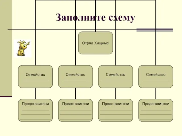 Заполните схему