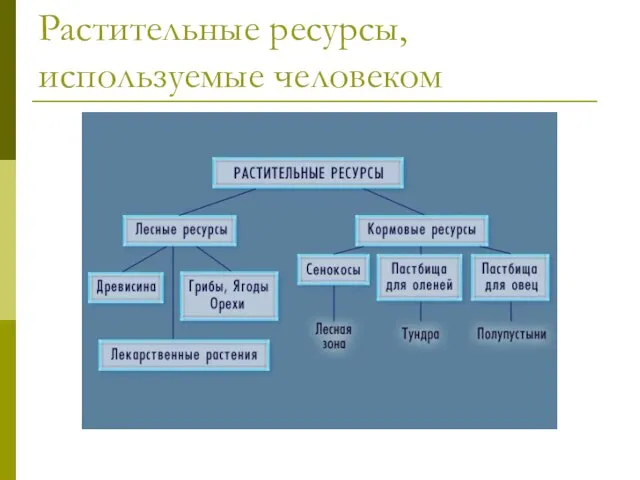 Растительные ресурсы, используемые человеком