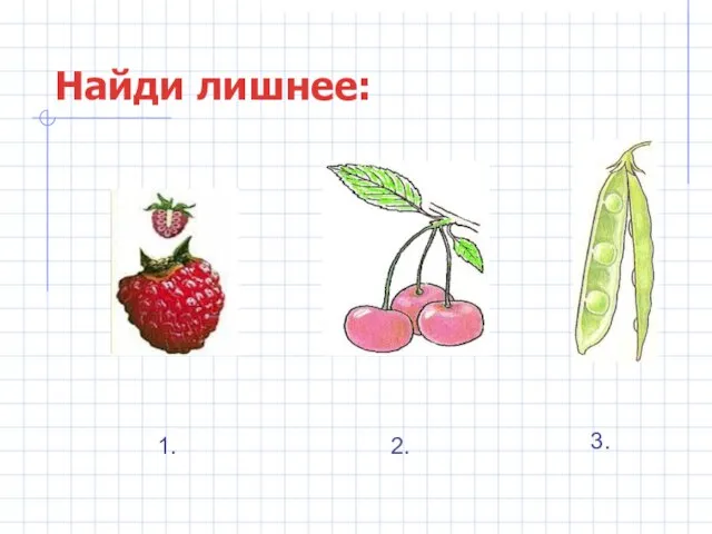 Найди лишнее: 1. 2. 3.