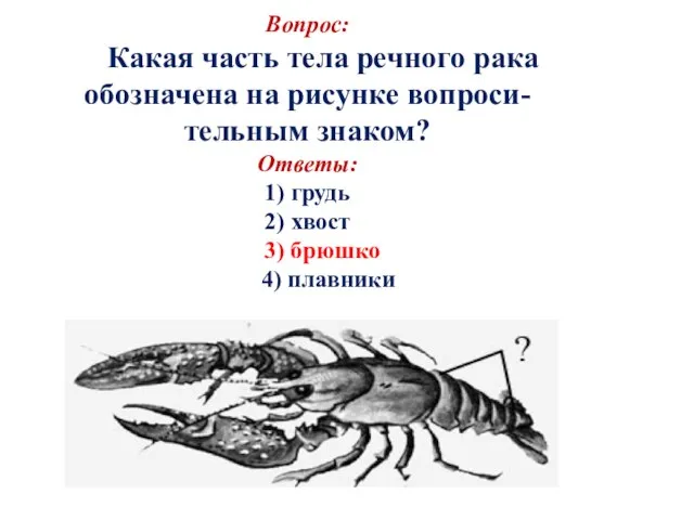 Вопрос: Какая часть тела речного рака обозначена на рисунке вопроси- тельным