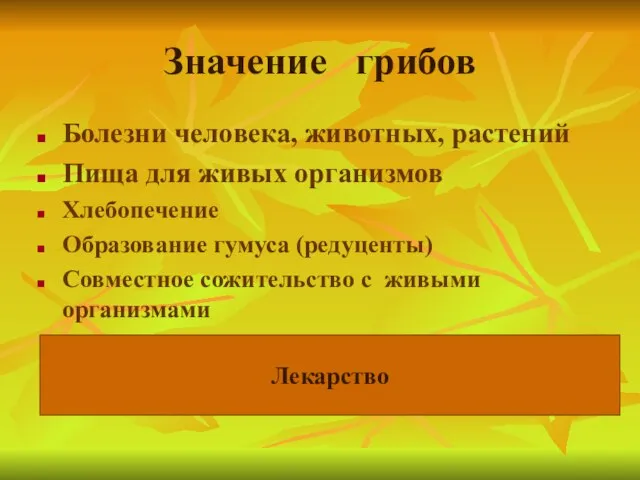 Значение грибов Болезни человека, животных, растений Пища для живых организмов Хлебопечение