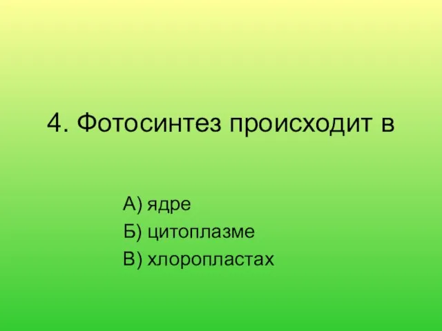 4. Фотосинтез происходит в А) ядре Б) цитоплазме В) хлоропластах