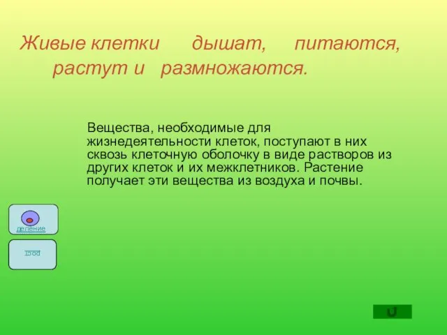 Живые клетки дышат, питаются, растут и размножаются. Вещества, необходимые для жизнедеятельности