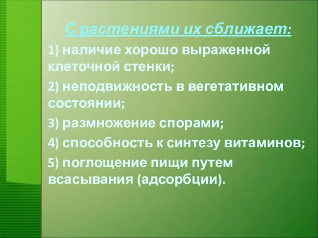 С растениями их сближает: 1) наличие хорошо выраженной клеточной стенки; 2)