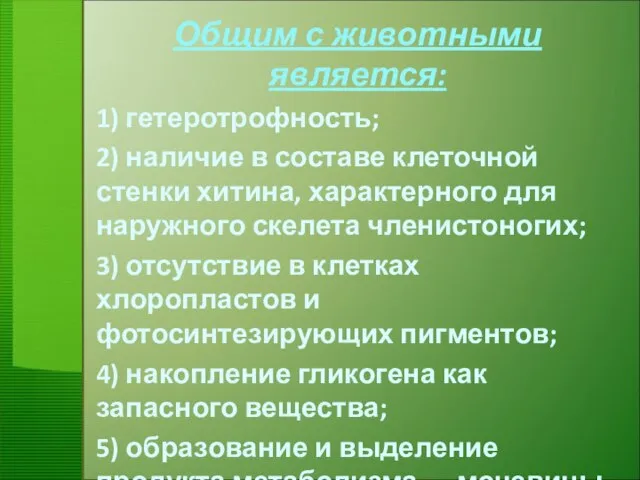 Общим с животными является: 1) гетеротрофность; 2) наличие в составе клеточной