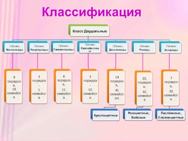 Классификация