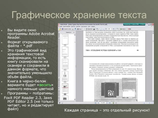 Графическое хранение текста Вы видите окно программы Adobe Acrobat Reader. Формат