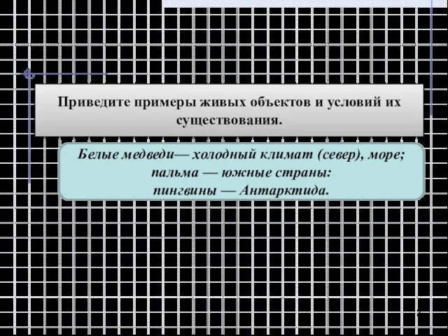 Приведите примеры живых объектов и условий их существования. Белые медведи— холодный