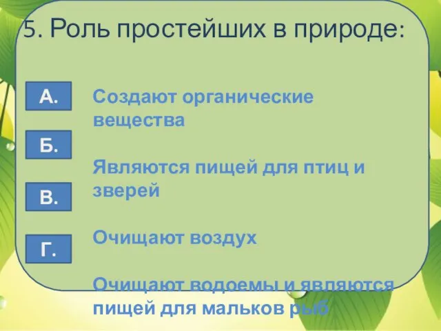 5. Роль простейших в природе: Создают органические вещества Являются пищей для