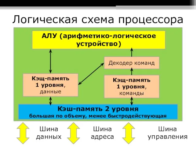 Логическая схема процессора Шина данных Шина адреса Шина управления АЛУ (арифметико-логическое