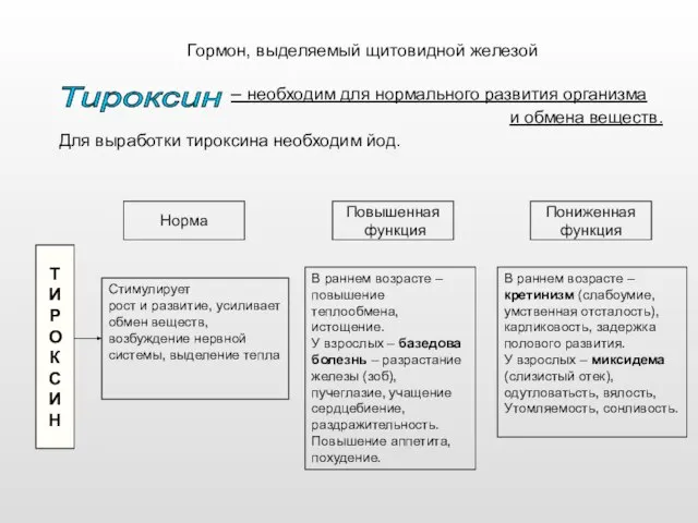 Гормон, выделяемый щитовидной железой – необходим для нормального развития организма и