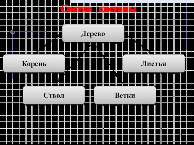 Состав системы Дерево Корень Листья Ствол Ветки