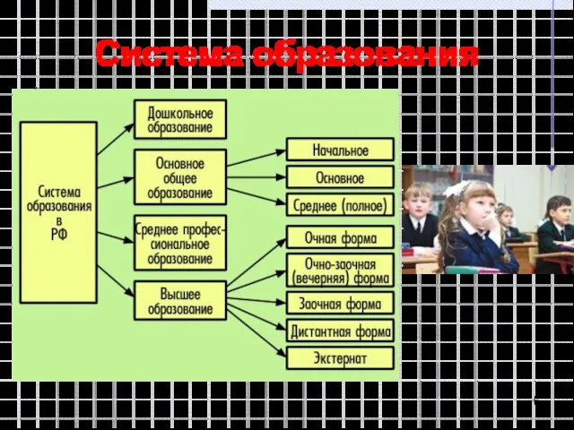 Система образования