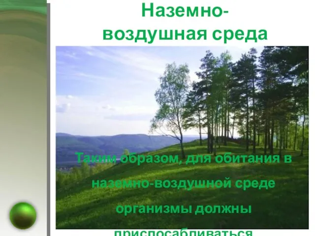 Наземно-воздушная среда · Высокое содержание кислорода; · Низкая влажность воздуха; ·