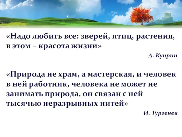 «Надо любить все: зверей, птиц, растения, в этом – красота жизни»