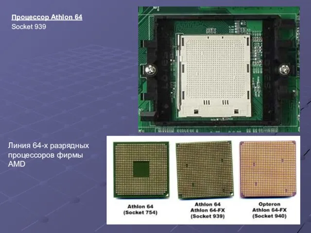 Процессор Athlon 64 Socket 939 Линия 64-x разрядных процессоров фирмы AMD