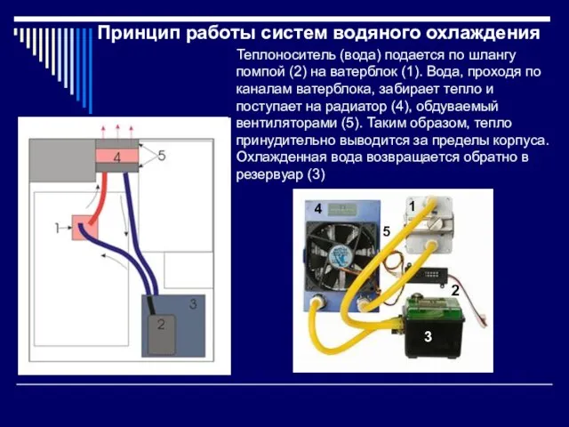 Теплоноситель (вода) подается по шлангу помпой (2) на ватерблок (1). Вода,