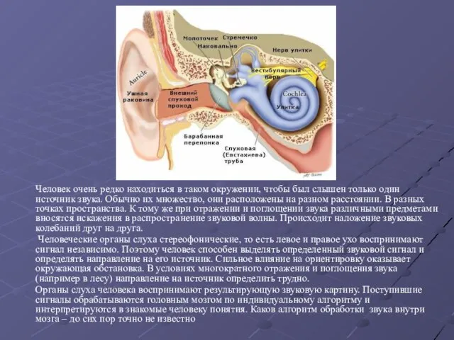 Человек очень редко находиться в таком окружении, чтобы был слышен только