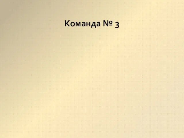 Команда № 3