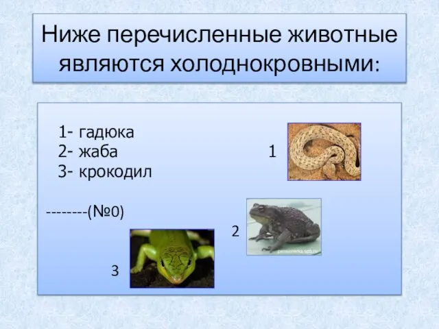 Ниже перечисленные животные являются холоднокровными: 1- гадюка 2- жаба 1 3- крокодил --------(№0) 2 3