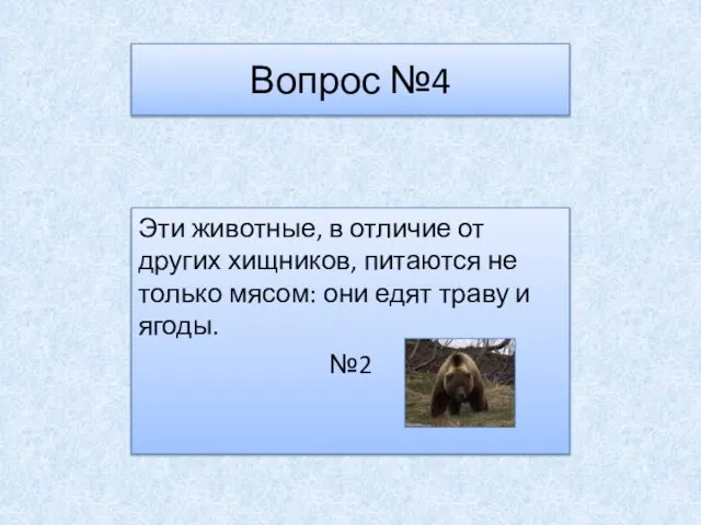 Вопрос №4 Эти животные, в отличие от других хищников, питаются не