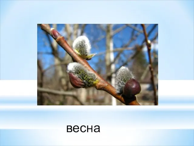 весна