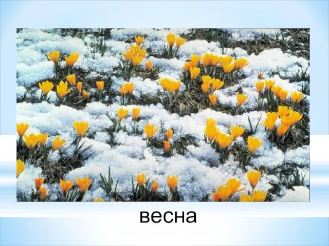 весна