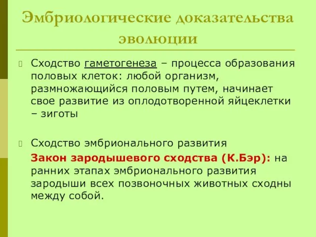 Эмбриологические доказательства эволюции Сходство гаметогенеза – процесса образования половых клеток: любой